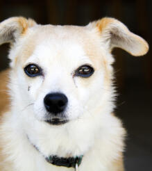 Alex Martinez avatar