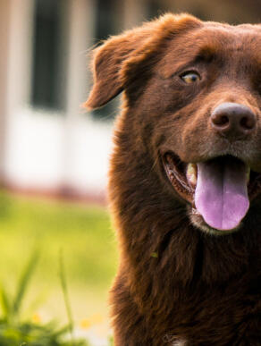 Leo Anders profile photo