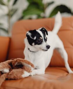 Maya Chen profile photo